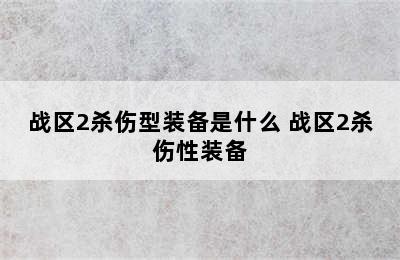 战区2杀伤型装备是什么 战区2杀伤性装备